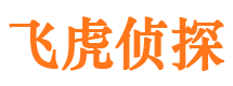 港南市侦探公司